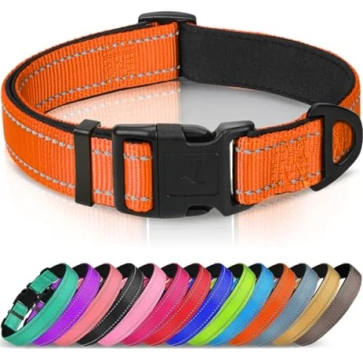 Afbeelding van Joytale Hondenhalsband met Veiligheidsgesp, Reflecterende Verstelbare Halsbanden Zachte Neopreen Vulling Huisdier, Veiligheidskraag voor Kleine Honden Huisdieren, M, Oranje