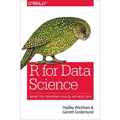Afbeelding van R for Data Science: Import, Tidy, Transform, Visualize, and Model