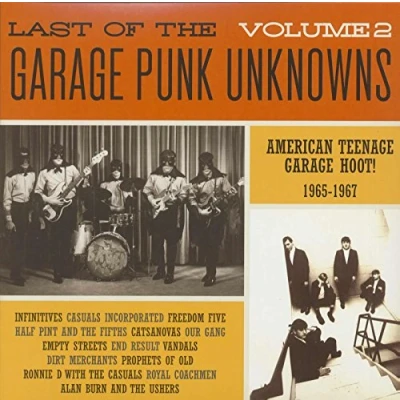 Afbeelding van V/A Last of the Garage Punk Unknowns 2 (LP)