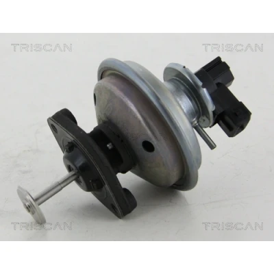 Afbeelding van Triscan EGR klep 8813 11002