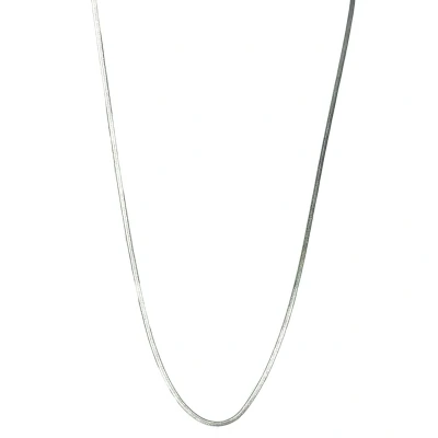 Afbeelding van Platte Ketting Herringbone Edelstaal Zilverkleurig Breedte 2 mm Lengte 41 cm