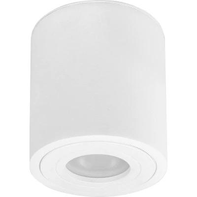 Afbeelding van HighLight plafondlamp Maxi Rebel IP44 rond wit