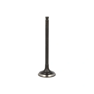 Afbeelding van Freccia Uitlaatklep R6069/BMARNT