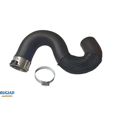 Afbeelding van Laadluchtslang BUGIAD 82274