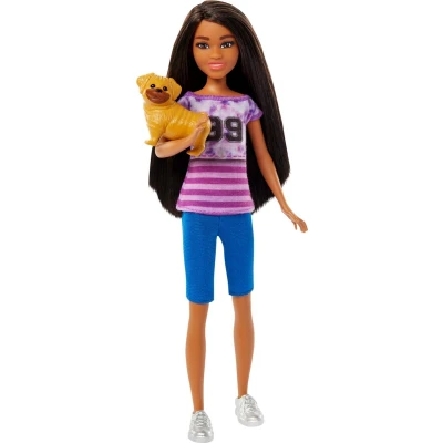 Afbeelding van Mattel &amp; Stacie to The Rescue Modepop