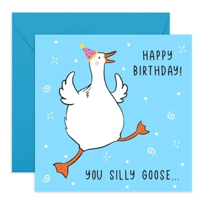 Afbeelding van CENTRAL 23 Grappige verjaardagskaart voor mannen vrouwen You Silly Goose verjaardagskaarten vriend vriendin van vrienden gelukkige echtgenoot vrouw