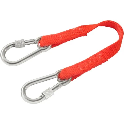 Afbeelding van Facom sls veiligheidskoord 20 cm dubbele sluithaak 60 mm rvs met schroef LAN0.2