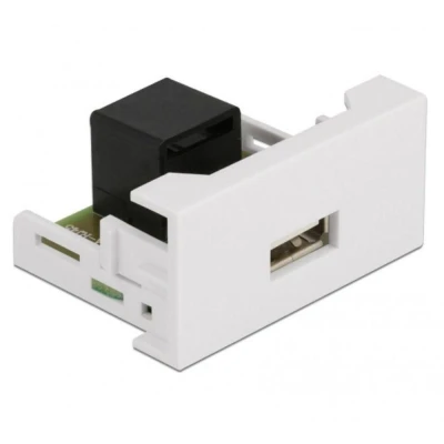 Afbeelding van Delock Easy 45 Module USB 2.0 Type A Vrouwelijk naar RJ45