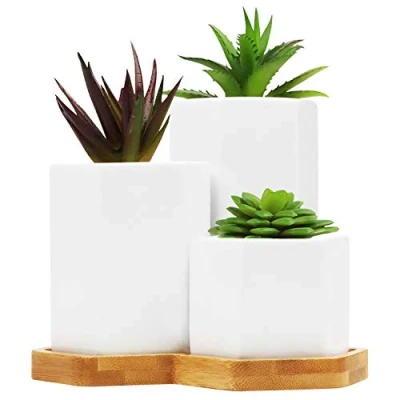 Afbeelding van Belle Vous Wit Keramiek Vetplanten Planten Potten met Bamboe Tray (3Pak) Klein, Medium en Groot cactus &amp; Bloemen Pot Set Drainage Gaten Voor Kantoor, Balie, Binnen Tafel Buiten Tuin