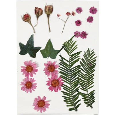 Afbeelding van Creativ Company Gedroogde Bloemen en Bladeren Lichtrood, 19dlg.