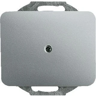 Afbeelding van Abb busch jaeger alpha blindplaat metaal ip20 titanium 2cka001710a3335