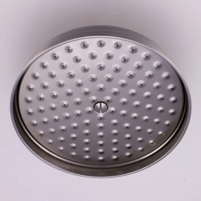 Afbeelding van PB klassieke Hoofddouche 20cm RVS 1208898882