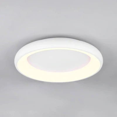 Afbeelding van Trio Led plafondlamp Cardona wit Ø 60cm 649616031
