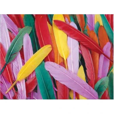 Afbeelding van Colorations Gekleurde Eendenveren, 28,5 gram