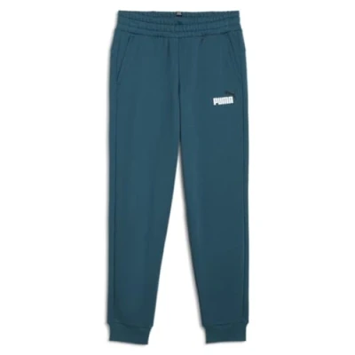 Afbeelding van PUMA ESS+ 2 Col Logo Pants FL cl B Jongens Broek Cold Green Maat 140