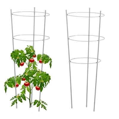 Afbeelding van plantensteun set van 2 76 cm metaal kunststof 3 verstelbare ringen tomatensteun