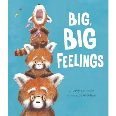 Afbeelding van Big, Big Feelings