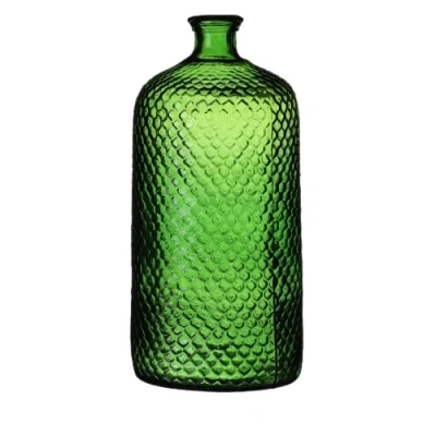 Afbeelding van Natural Living Bloemenvaas Scubs Bottle groen geschubt transparant glas D18 x H42 cm Vazen