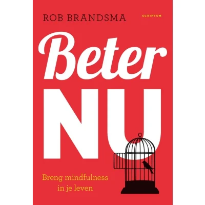 Afbeelding van Beter nu (Hardback)
