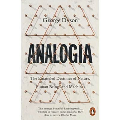 Afbeelding van Analogia: The Entangled Destinies of Nature, Human Beings and Machines