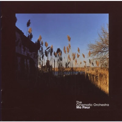 Afbeelding van The Cinematic Orchestra Ma Fleur (CD)