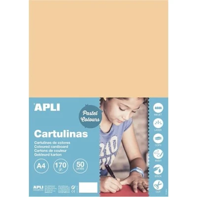 Afbeelding van APLI 16500 Zalmkarton A4 170 g 50 vellen