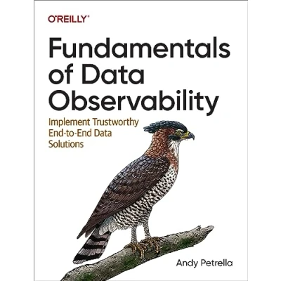 Afbeelding van Fundamentals of Data Observability: Implement Trustworthy End To Solutions