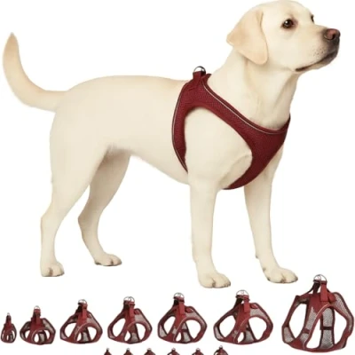 Afbeelding van Flamingo Step Go Bento Harnas Aubergine, XL (A:40 43 cm, B:49 54 3 mm), Comfortabel en Verstelbaar, Ideaal voor Australian Shepherd, Springer Spaniël, Staffordshire Bull Terrier, enz.