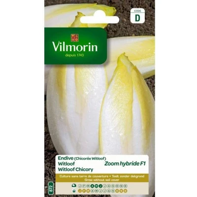 Afbeelding van Witloof Zoom HF1
