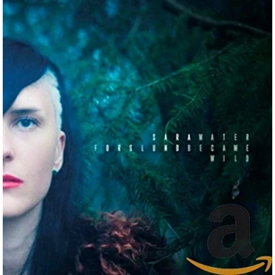 Afbeelding van Sara Forslund Water Became Wild (CD)