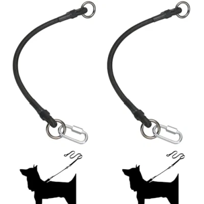 Afbeelding van 2 STKS Hondenriem extenders Schokdemper Extension Anti Burst Hond Lead Extender voor Grote en Medium Honden Wandelen Running Training