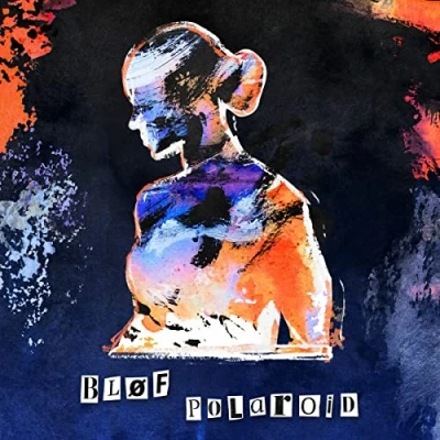Afbeelding van POLAROID (CD) (Digipack)