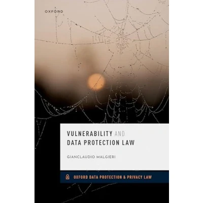 Afbeelding van Vulnerability and Data Protection Law