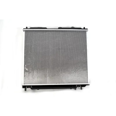 Afbeelding van Thermotec Radiateur D75003TT