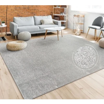 Afbeelding van Tapijt Vloerkleed Woonkamer Effen Eenvoudig En Modern Laagpolig, Versch. Afmetingen Kleuren, Maat:200x280 cm, Kleur:Zilver
