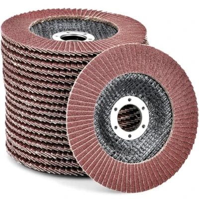 Afbeelding van HATANSE Waaierschijven, 10 stuks, Ø 125 mm x 22 mm, korrel, 120 slijpschijven, slijpschijf, lamellenschijven voor haakse slijper, polijstmachine