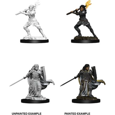 Afbeelding van Dungeons and Dragons Miniatures Nolzur&#039;s Marvelous Human Female Paladin Miniatuur Ongeverfd