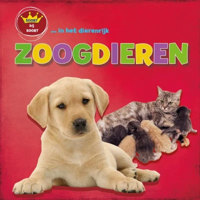 Afbeelding van soort bij in het dierenrijk Zoogdieren