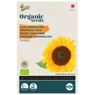 Afbeelding van Lage zonnebloem Sunspot (Helianthus) Buzzy Organic (BIO)