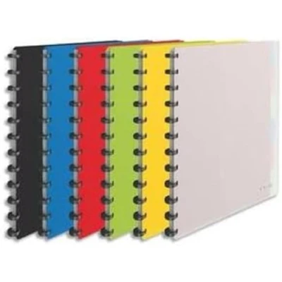 Afbeelding van Esselte 624014 map met uitneembare hoezen, 25 hoesjes, voor 50 vellen A4, zachte omslag, verschillende kleuren, palet VIVIDA