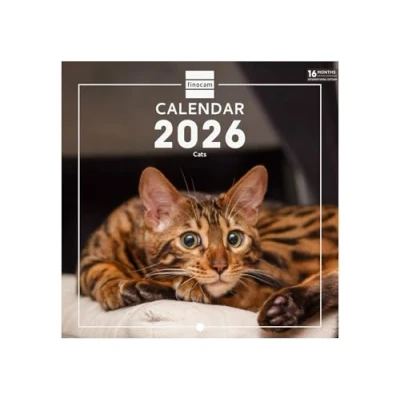Afbeelding van Finocam Wall Calendar 2026 18x18 cm Month to View January December + Sep. Dec. 2025 (4 months) reduced Images Cats International