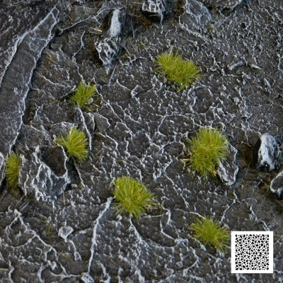 Afbeelding van Gamers Grass Tiny Tufts Dry Green 2mm GGTT DG