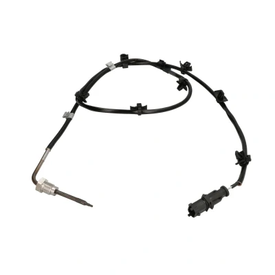Afbeelding van Delphi Diesel Sensor uitlaatgastemperatuur TS30238