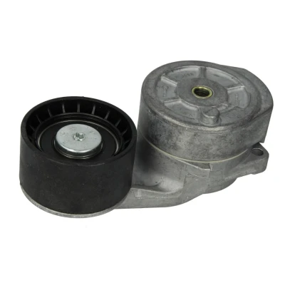 Afbeelding van Dayco Spanner poly V riem APV2736