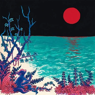 Afbeelding van Glass Beach The First Album (2 LPs)