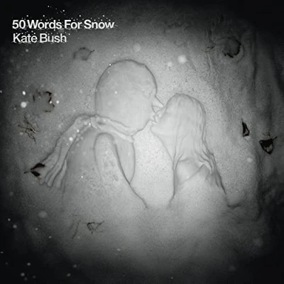Afbeelding van 50 Words For Snow