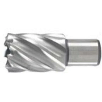 Afbeelding van Hikoki Accessoires Kernboor 74X30 Mm 754465