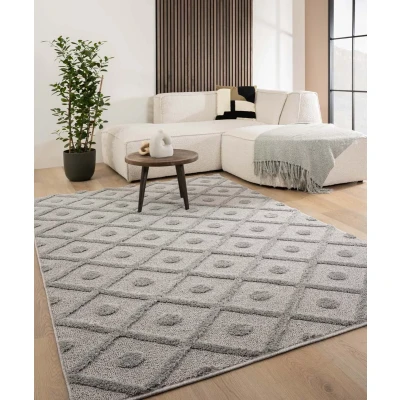 Afbeelding van Scandinavisch Vloerkleed Arc Diamond Lichtgrijs 80x150 Cm