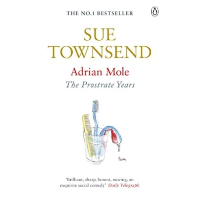 Afbeelding van Adrian Mole: the prostrate years