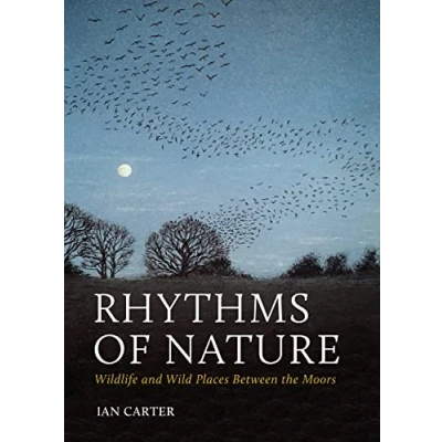 Afbeelding van Rhythms of Nature